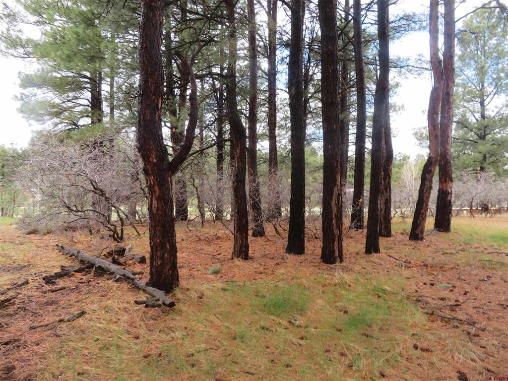 275 Beaver Circle Pagosa Springs CO 81147