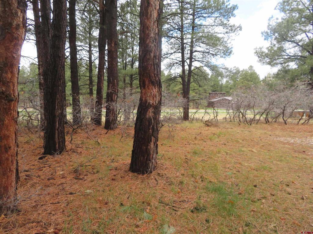 275 Beaver Circle Pagosa Springs CO 81147