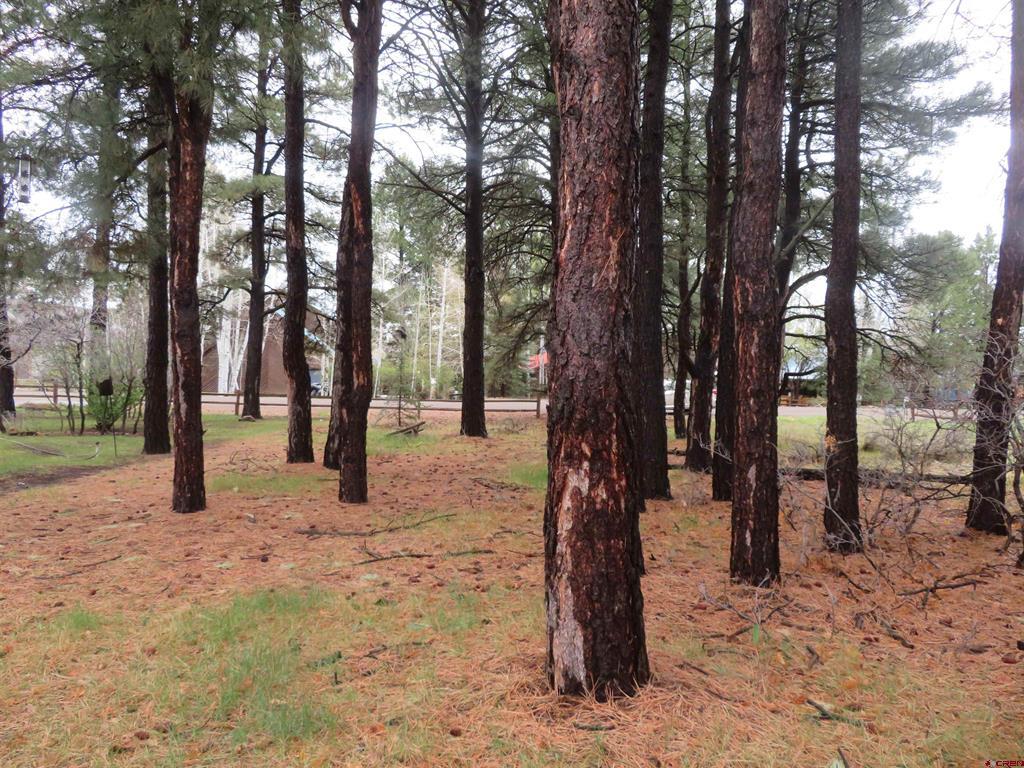 275 Beaver Circle Pagosa Springs CO 81147