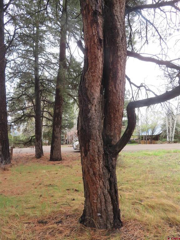 275 Beaver Circle Pagosa Springs CO 81147
