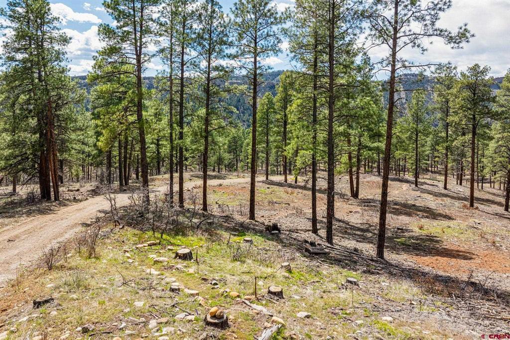 20861 Highway 160 Bayfield CO 81122