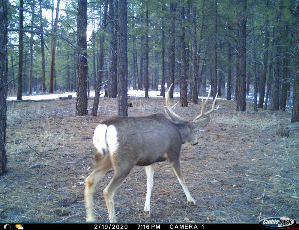20861 Highway 160 Bayfield CO 81122