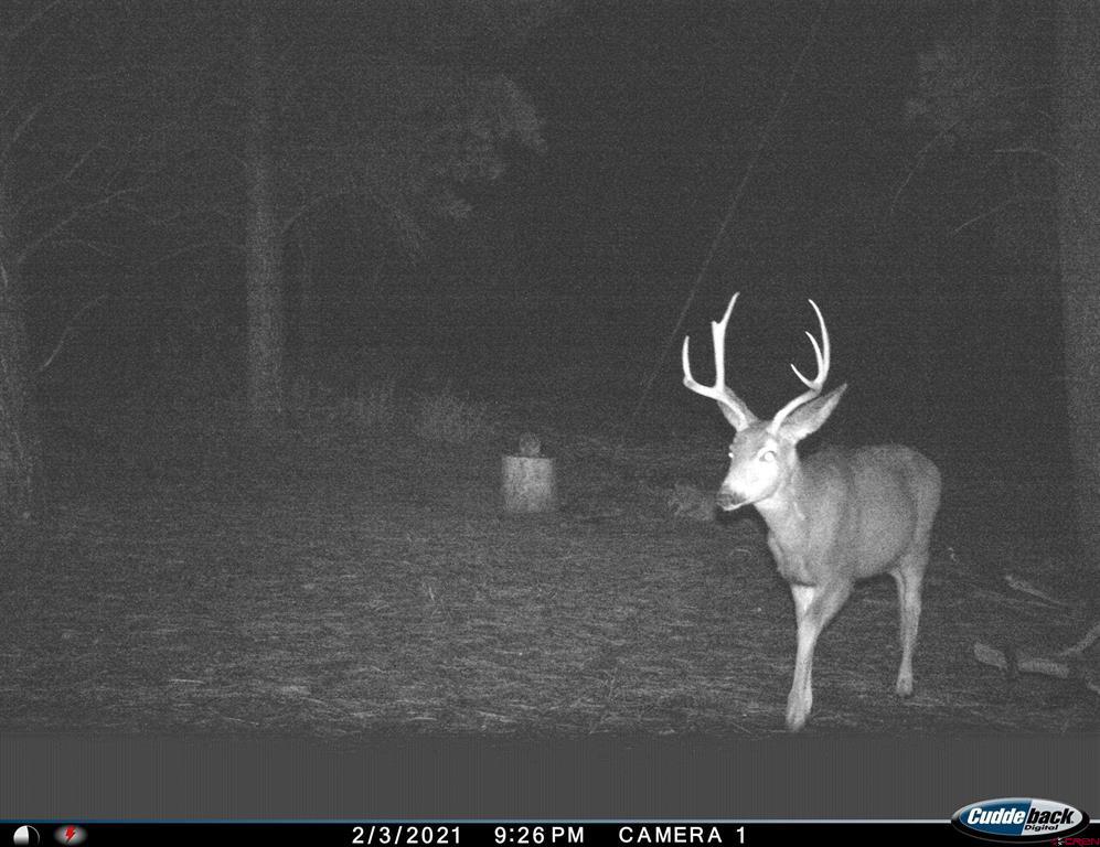20861 Highway 160 Bayfield CO 81122