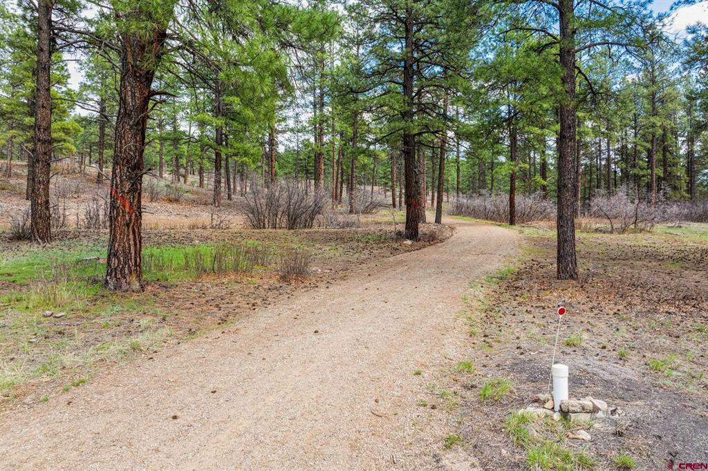 20861 Highway 160 Bayfield CO 81122