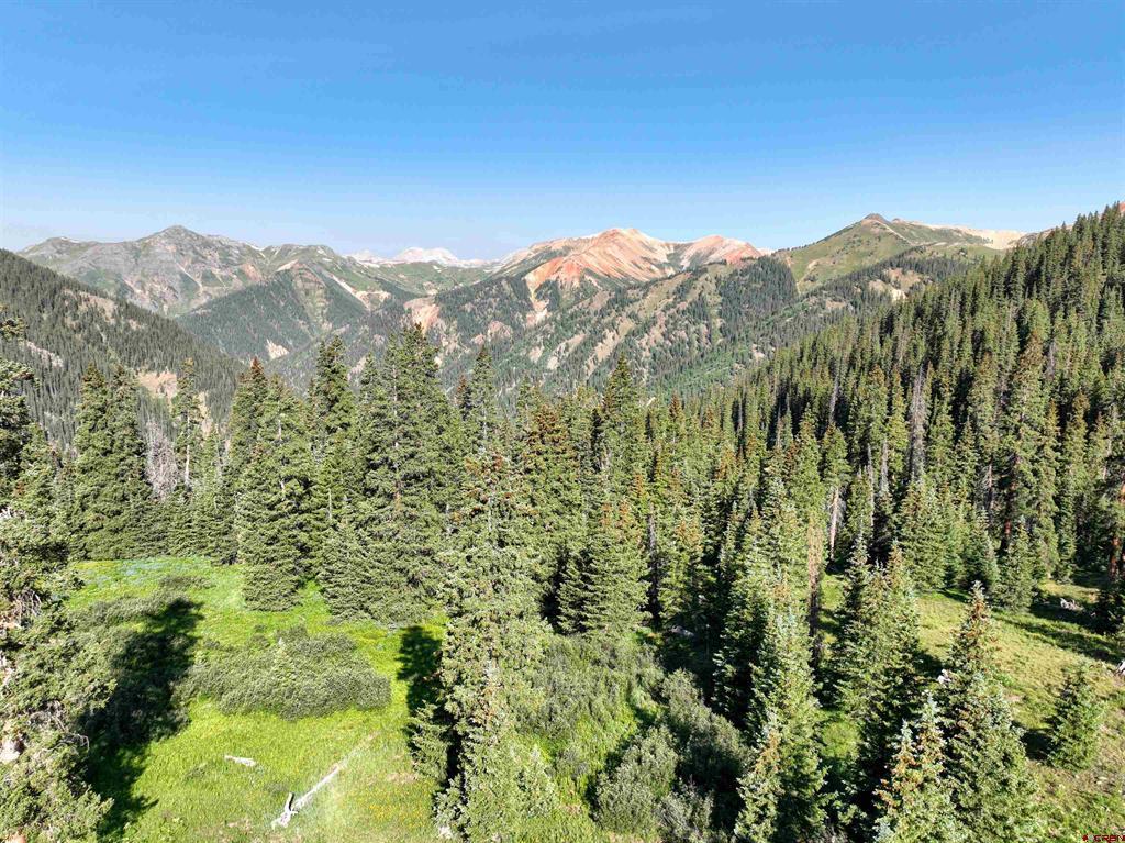 Tbd Road 51 Silverton CO 81433
