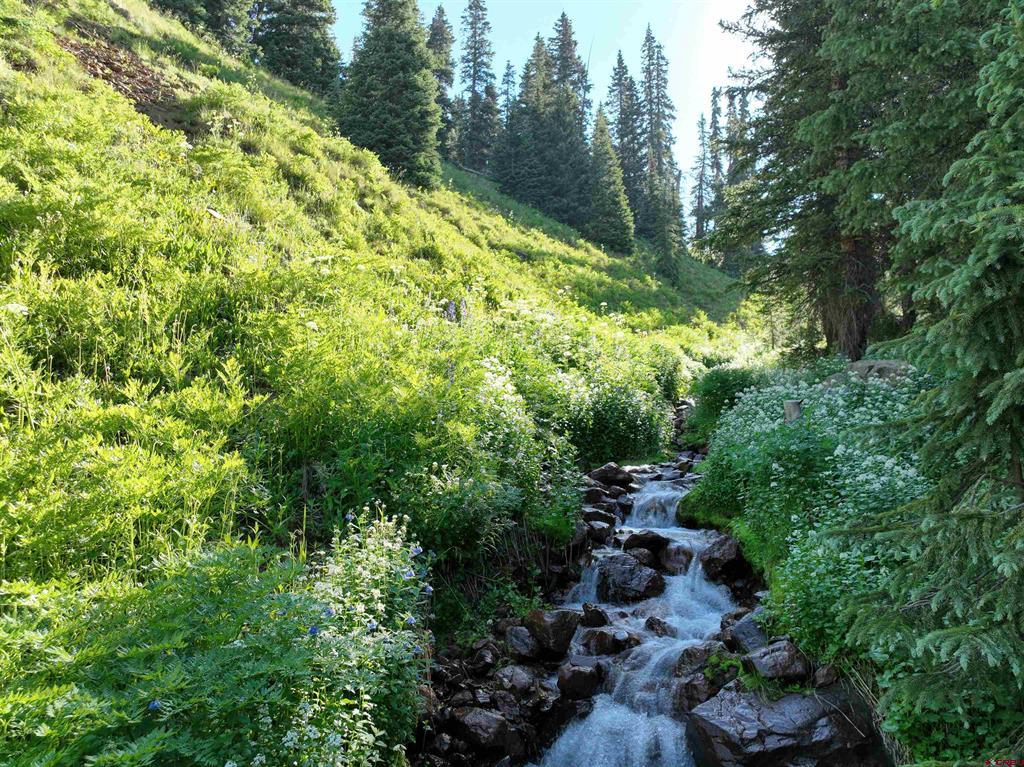 Tbd Road 51 Silverton CO 81433