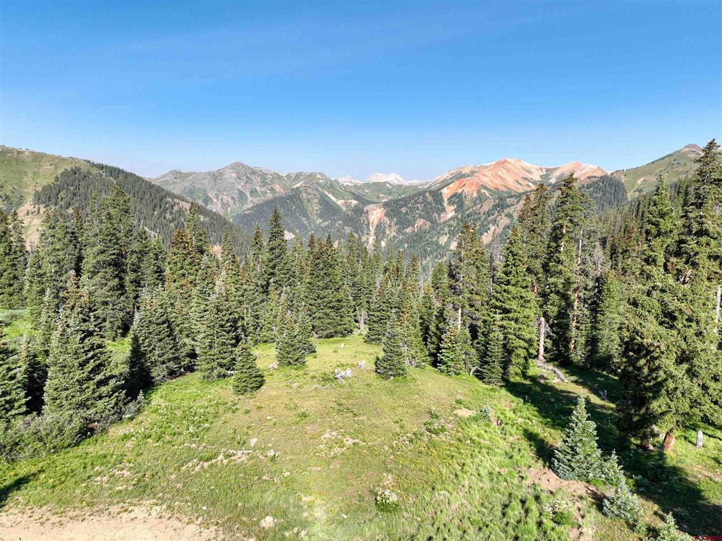Tbd Road 51 Silverton CO 81433