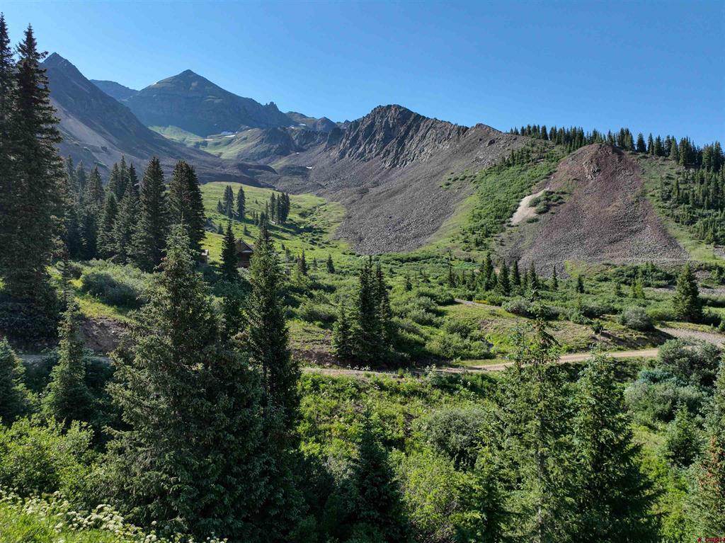 Tbd Road 51 Silverton CO 81433