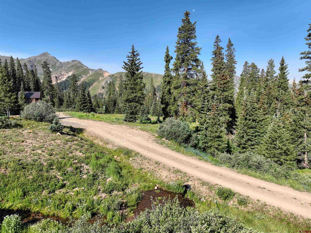 Tbd Road 51 Silverton CO 81433