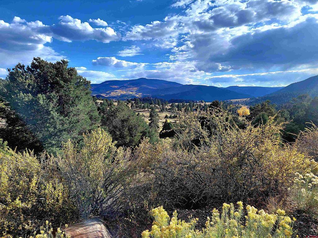 3075 Bear Creek Circle South Fork CO 81154