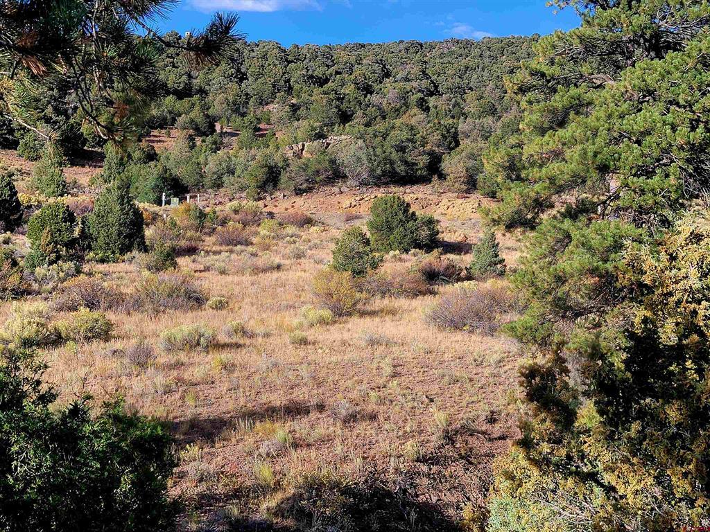 3075 Bear Creek Circle South Fork CO 81154