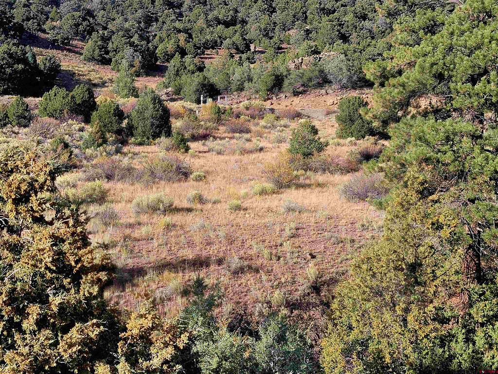 3075 Bear Creek Circle South Fork CO 81154