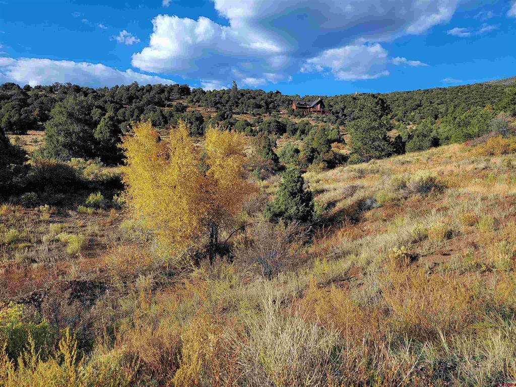 3075 Bear Creek Circle South Fork CO 81154