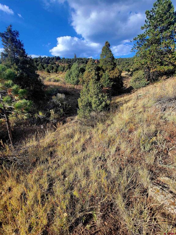 3075 Bear Creek Circle South Fork CO 81154
