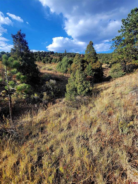 3075 Bear Creek Circle South Fork CO 81154