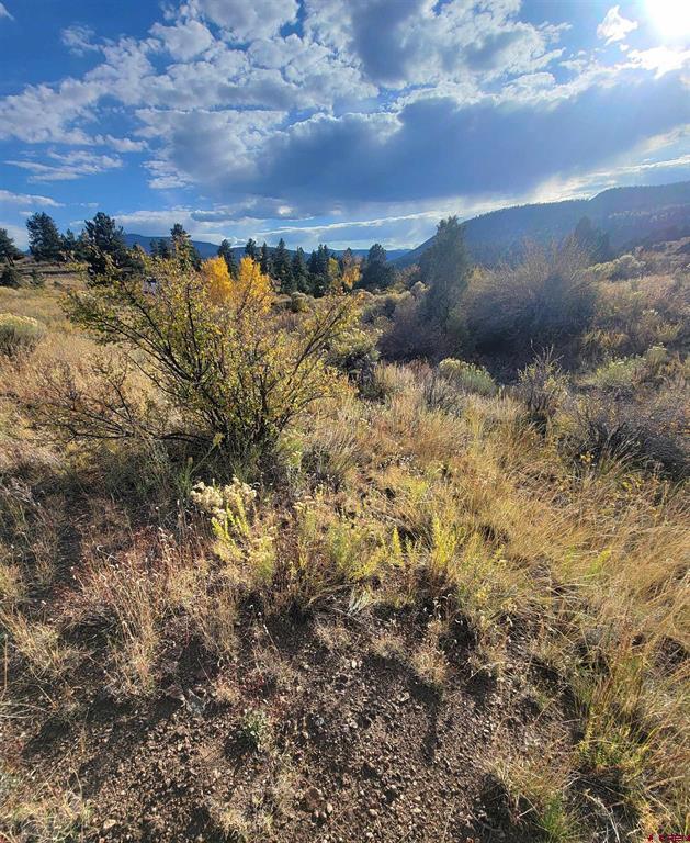 3075 Bear Creek Circle South Fork CO 81154