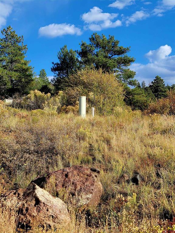 3075 Bear Creek Circle South Fork CO 81154