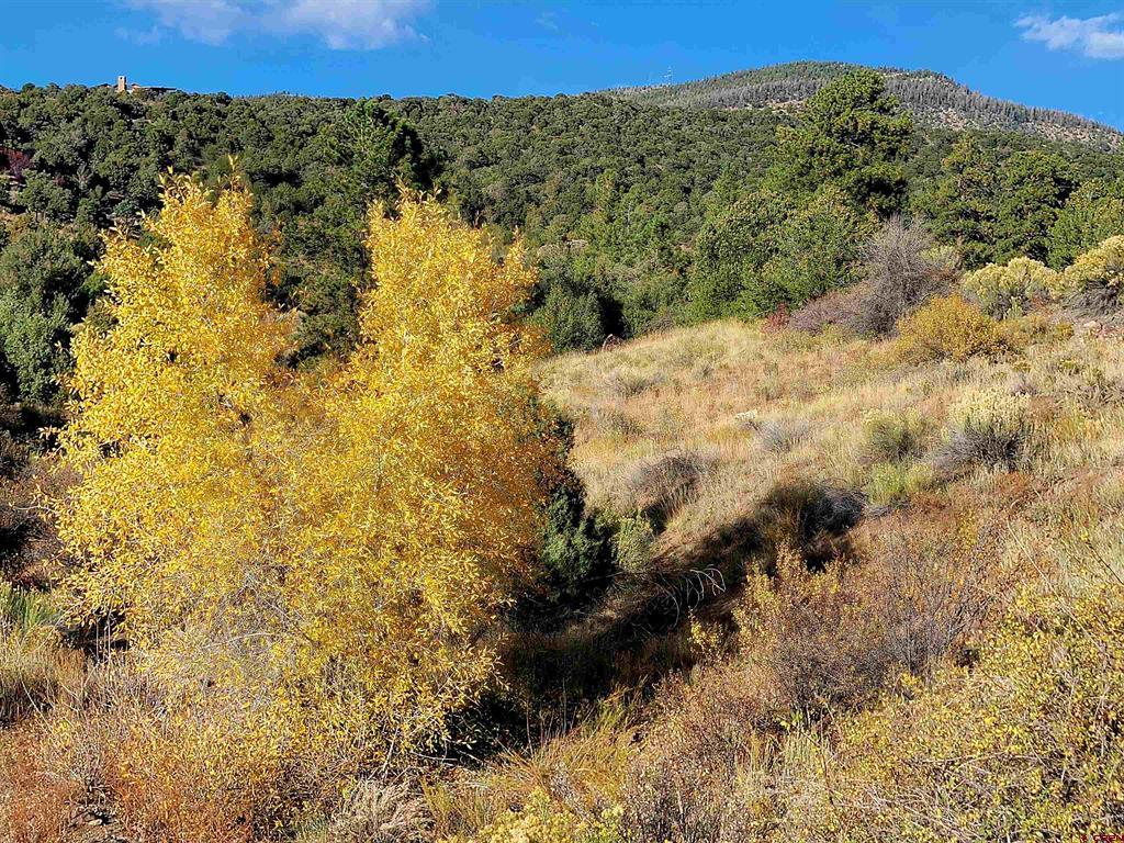 3075 Bear Creek Circle South Fork CO 81154