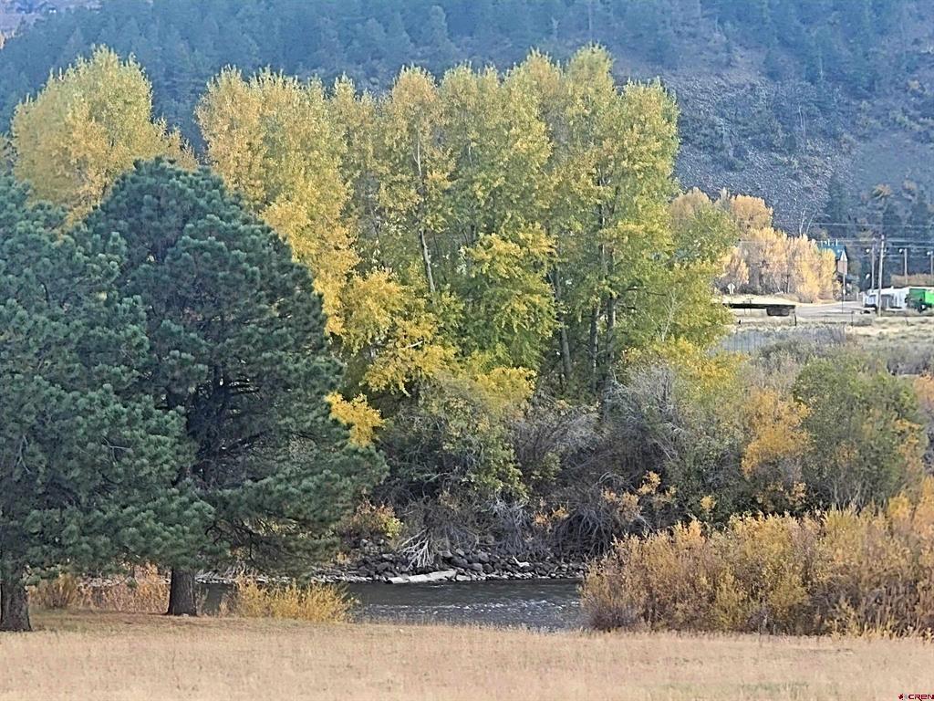 3075 Bear Creek Circle South Fork CO 81154