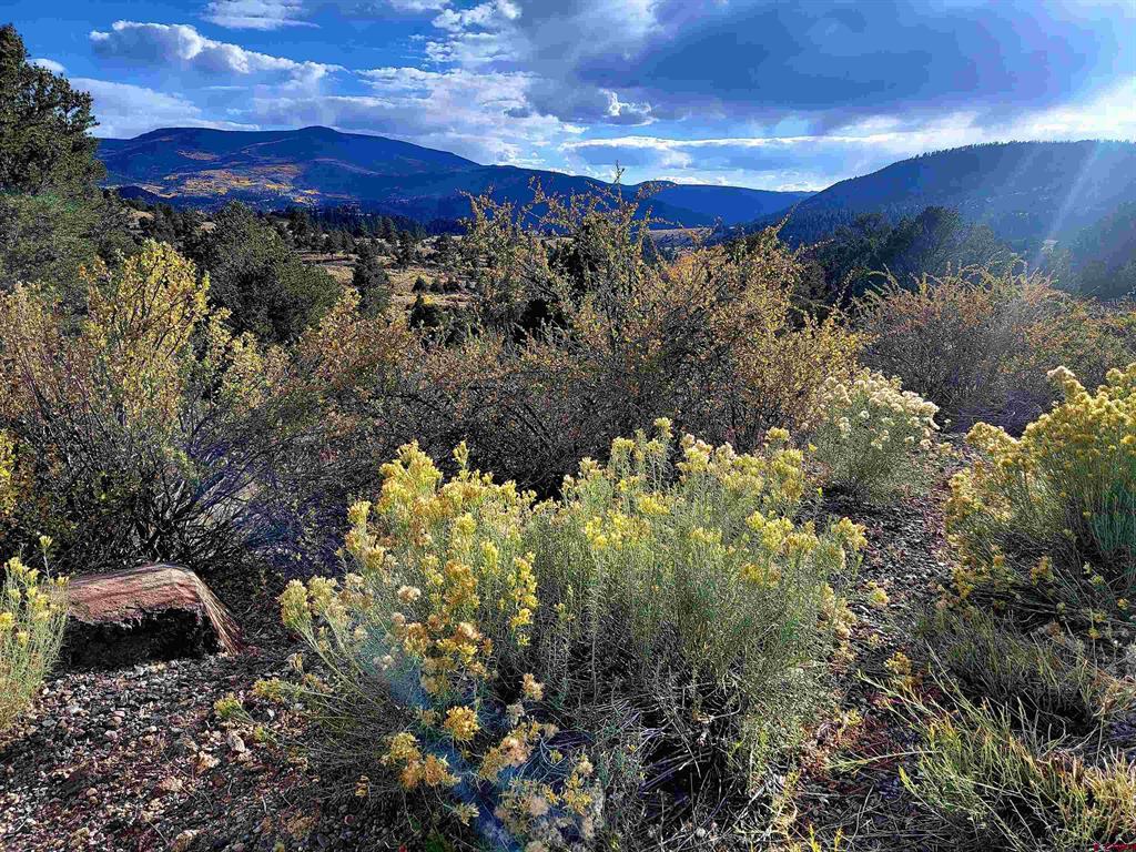 3075 Bear Creek Circle South Fork CO 81154