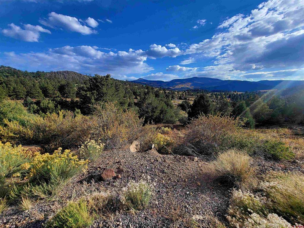 3075 Bear Creek Circle South Fork CO 81154