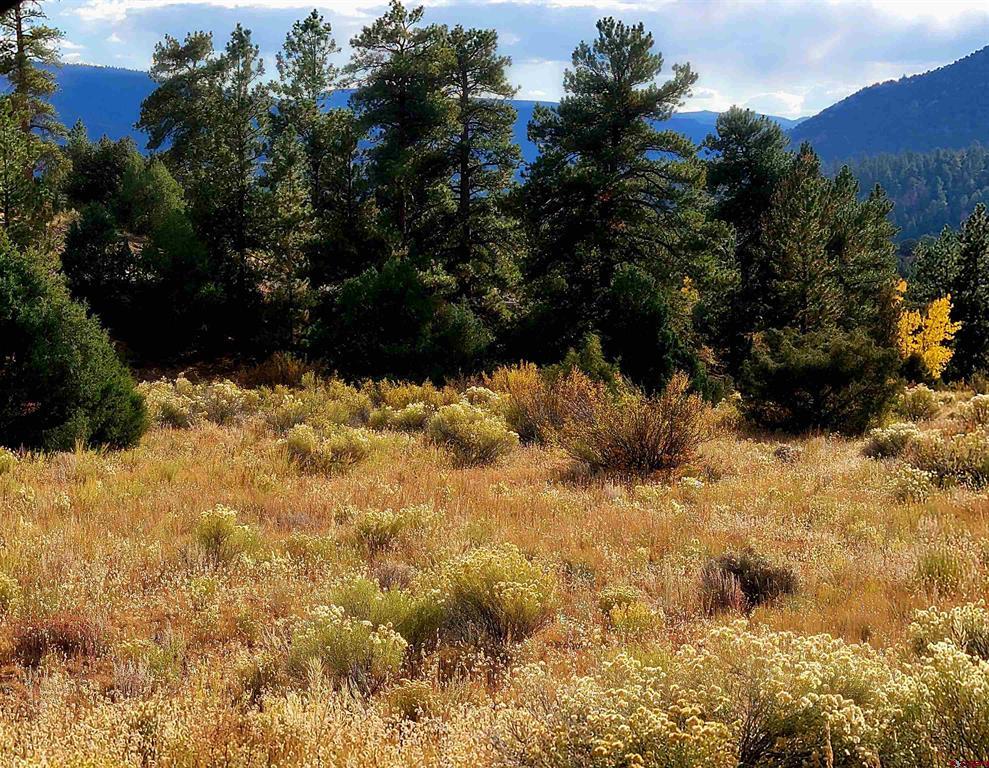 3075 Bear Creek Circle South Fork CO 81154