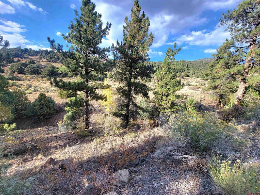 3075 Bear Creek Circle South Fork CO 81154