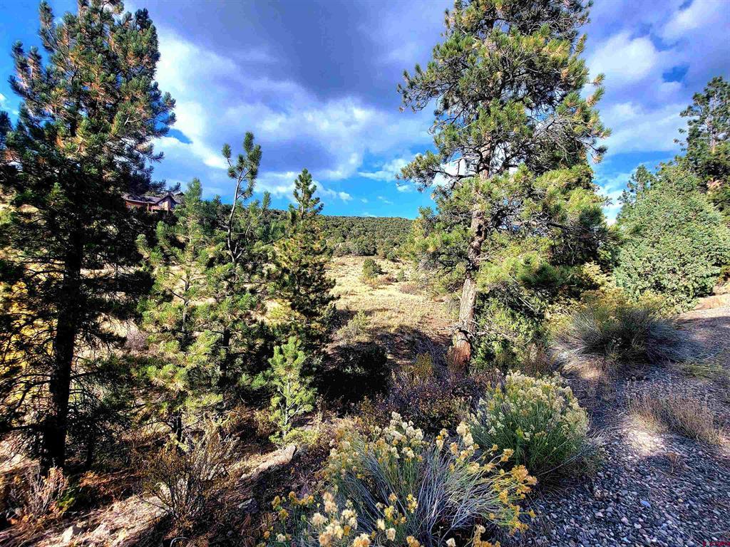 3075 Bear Creek Circle South Fork CO 81154