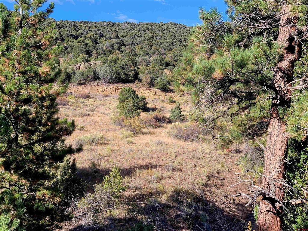 3075 Bear Creek Circle South Fork CO 81154