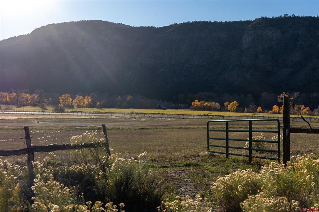 175 Pasture Place Montrose CO 81403