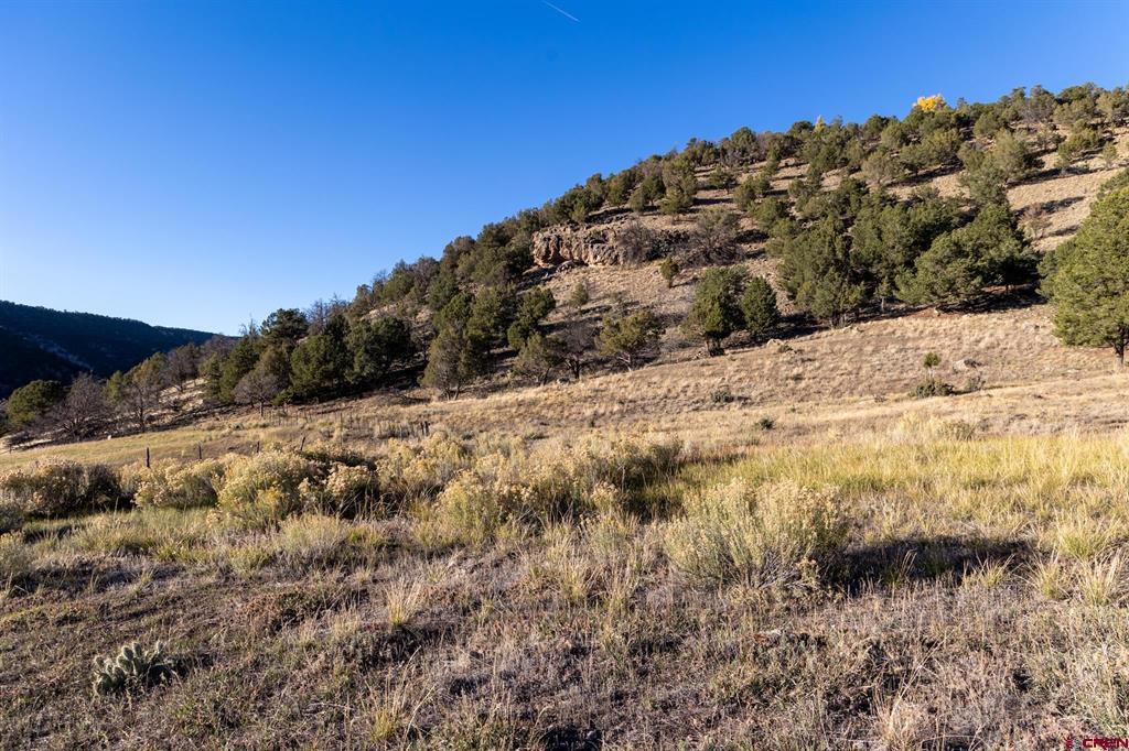 175 Pasture Place Montrose CO 81403