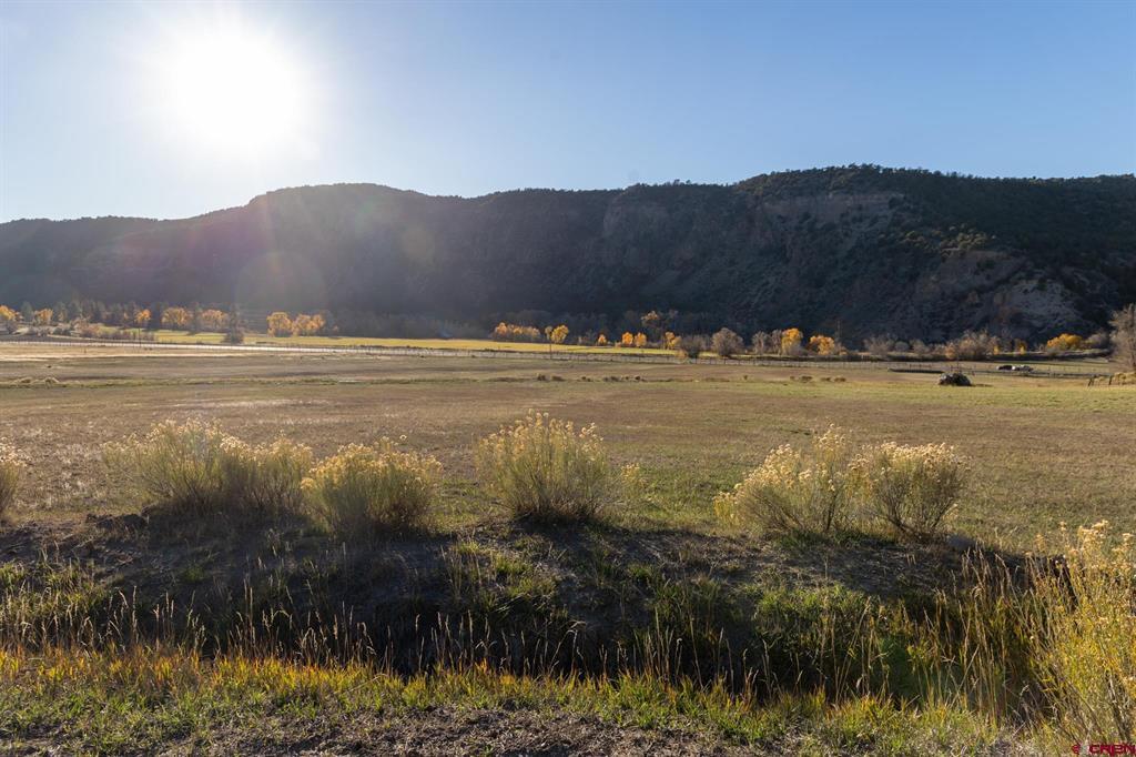 175 Pasture Place Montrose CO 81403
