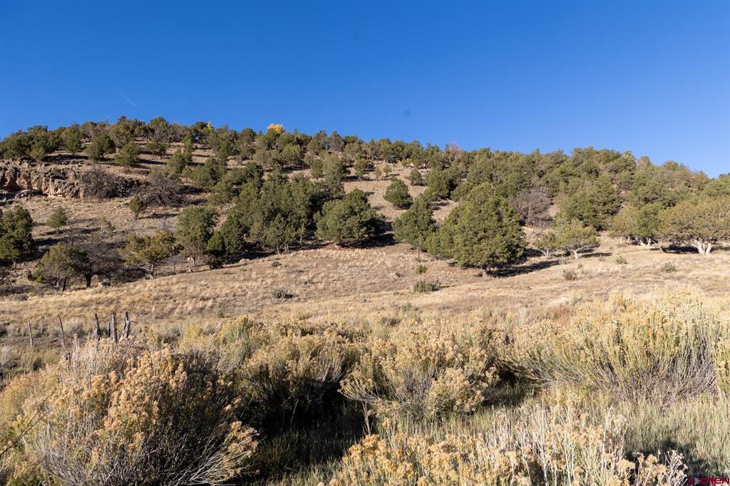 175 Pasture Place Montrose CO 81403