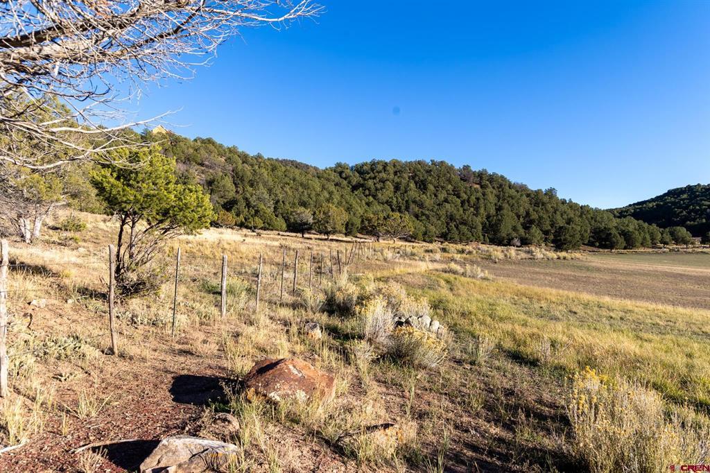 175 Pasture Place Montrose CO 81403