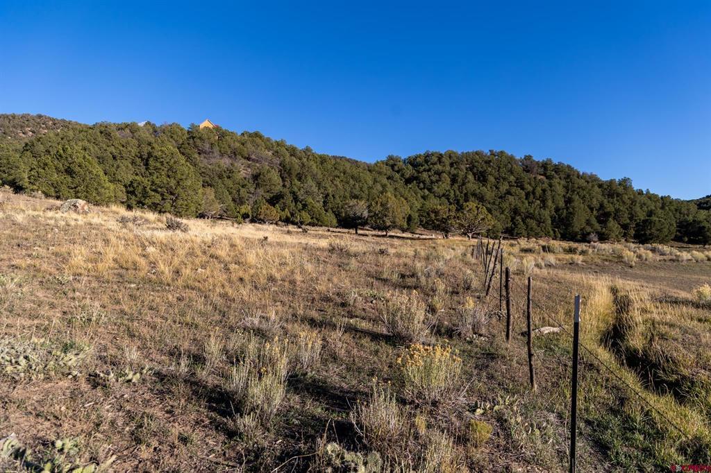 175 Pasture Place Montrose CO 81403