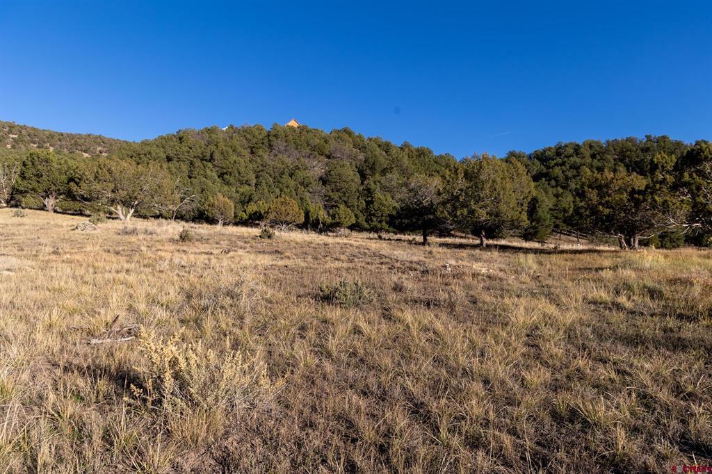 175 Pasture Place Montrose CO 81403