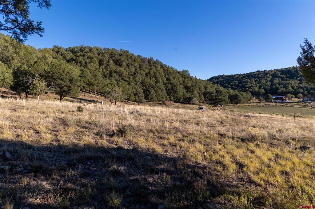 175 Pasture Place Montrose CO 81403