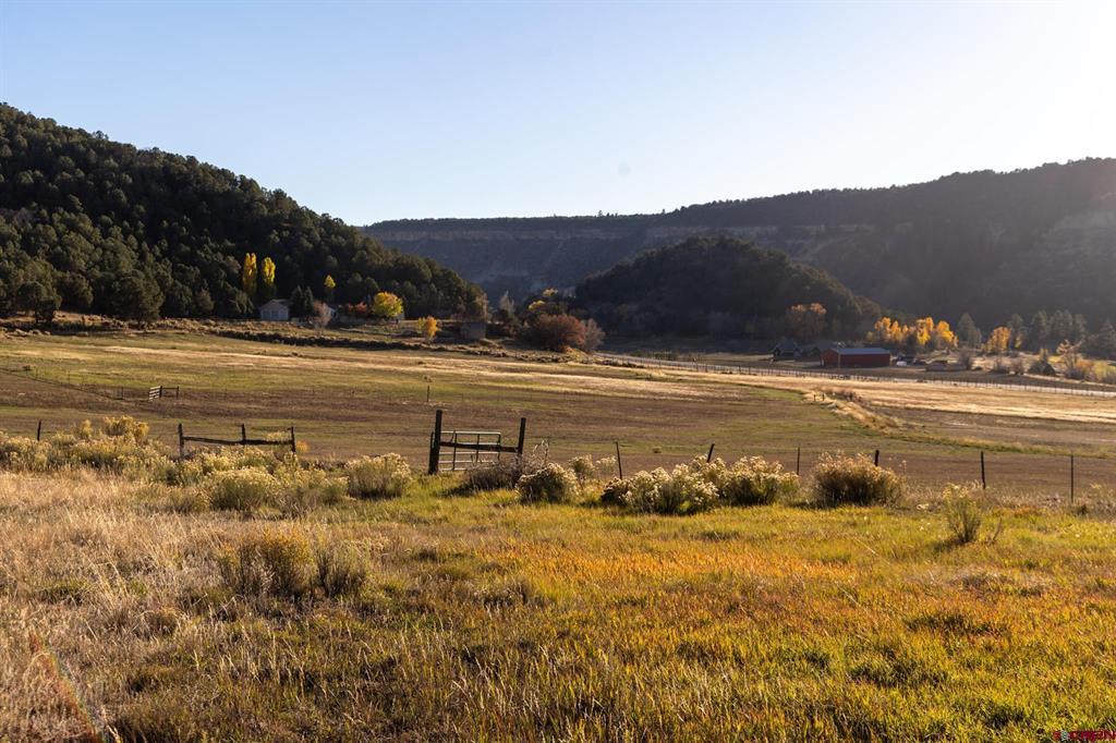 175 Pasture Place Montrose CO 81403