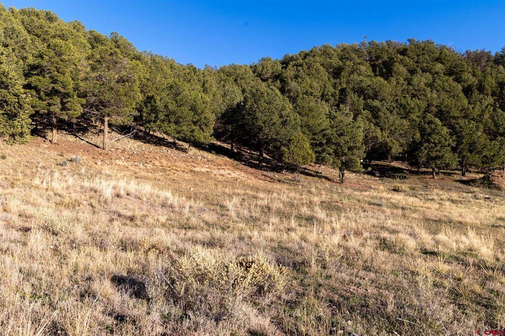 175 Pasture Place Montrose CO 81403
