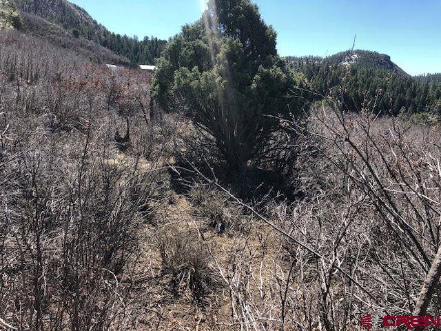 249 & 261 Jennifer Place Pagosa Springs CO 81147