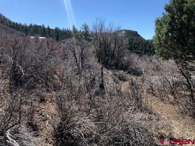 249 & 261 Jennifer Place Pagosa Springs CO 81147