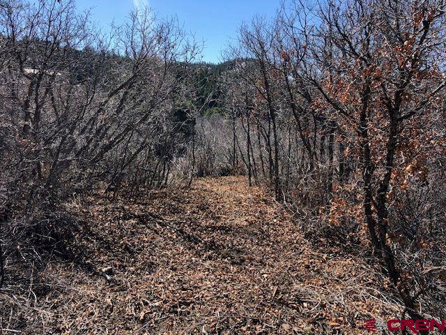 249 & 261 Jennifer Place Pagosa Springs CO 81147