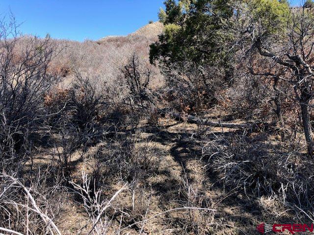 249 & 261 Jennifer Place Pagosa Springs CO 81147