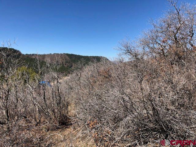 249 & 261 Jennifer Place Pagosa Springs CO 81147
