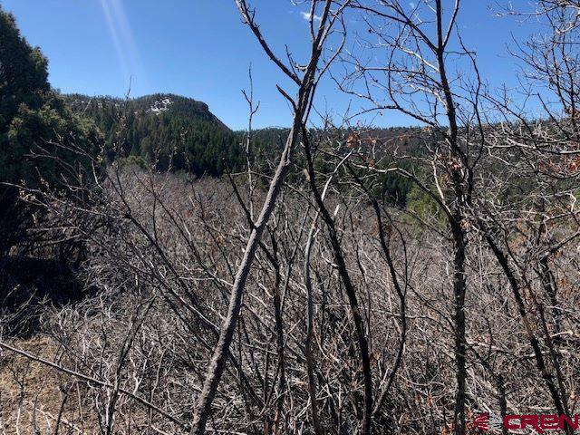 249 & 261 Jennifer Place Pagosa Springs CO 81147