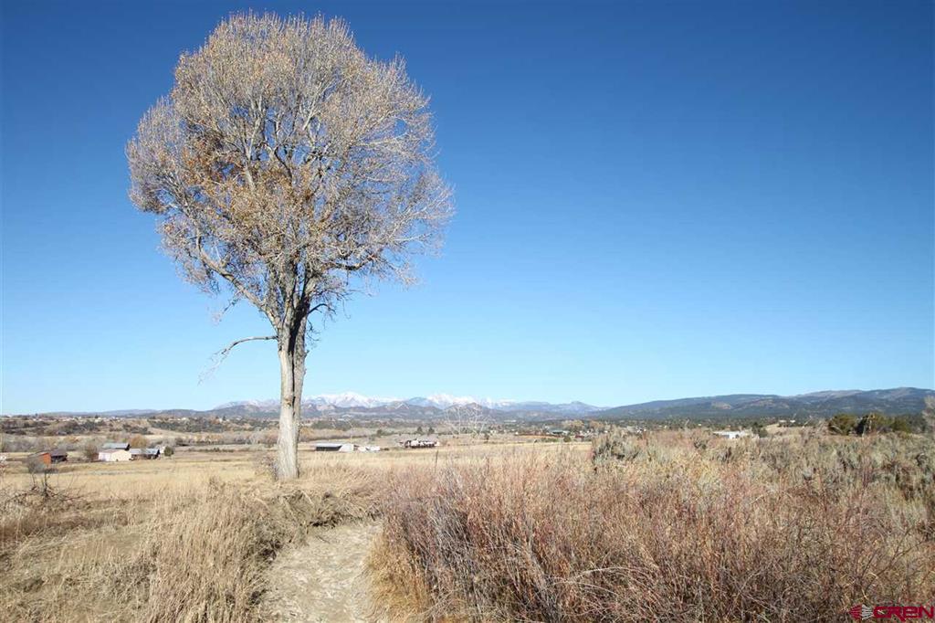Tbd County Road 510 Durango CO 81303