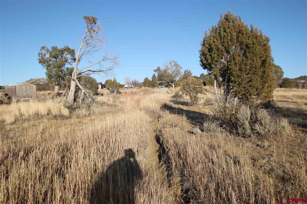 Tbd County Road 510 Durango CO 81303
