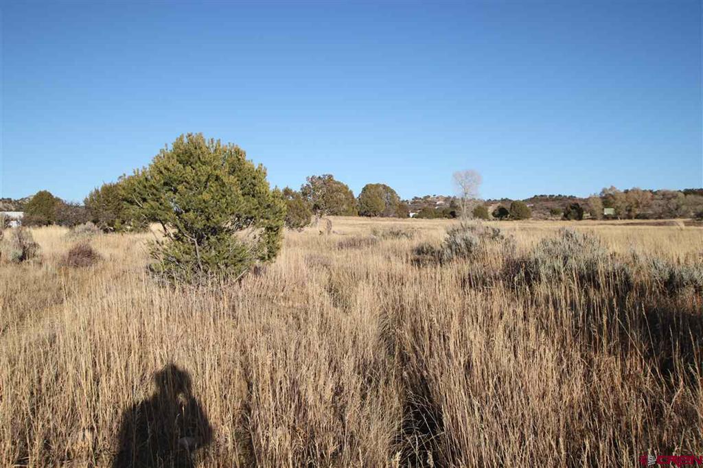 Tbd County Road 510 Durango CO 81303