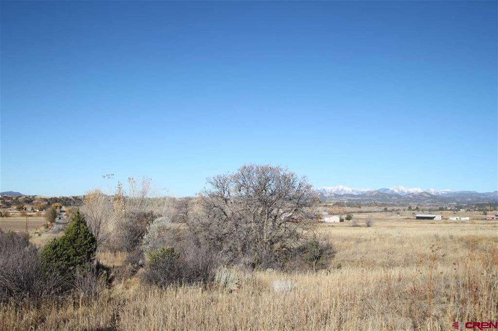 Tbd County Road 510 Durango CO 81303