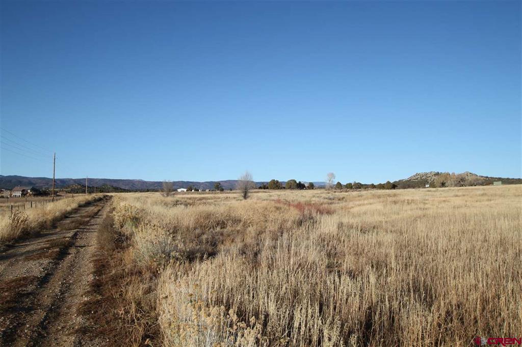Tbd County Road 510 Durango CO 81303